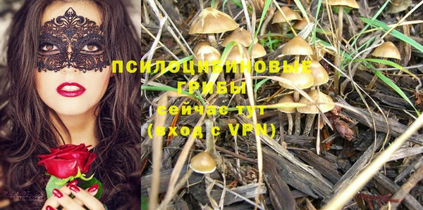 марки lsd Богородицк